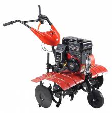 Σκαπτικό βενζινοκίνητο BAX ( Briggs Stratton ) 205cc ( MY-BS75R )
