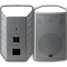 Ηχεία Hi Fi 2 δρόμων 250 W PROTEYS-508W σε λευκή απόχρωση (PROTEYS 508W)