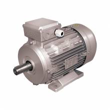 Κινητήρας Ηλεκτρικός PLUS MS100L22 5,5ΗΡ 2800RPM 380V ( 207.172 )